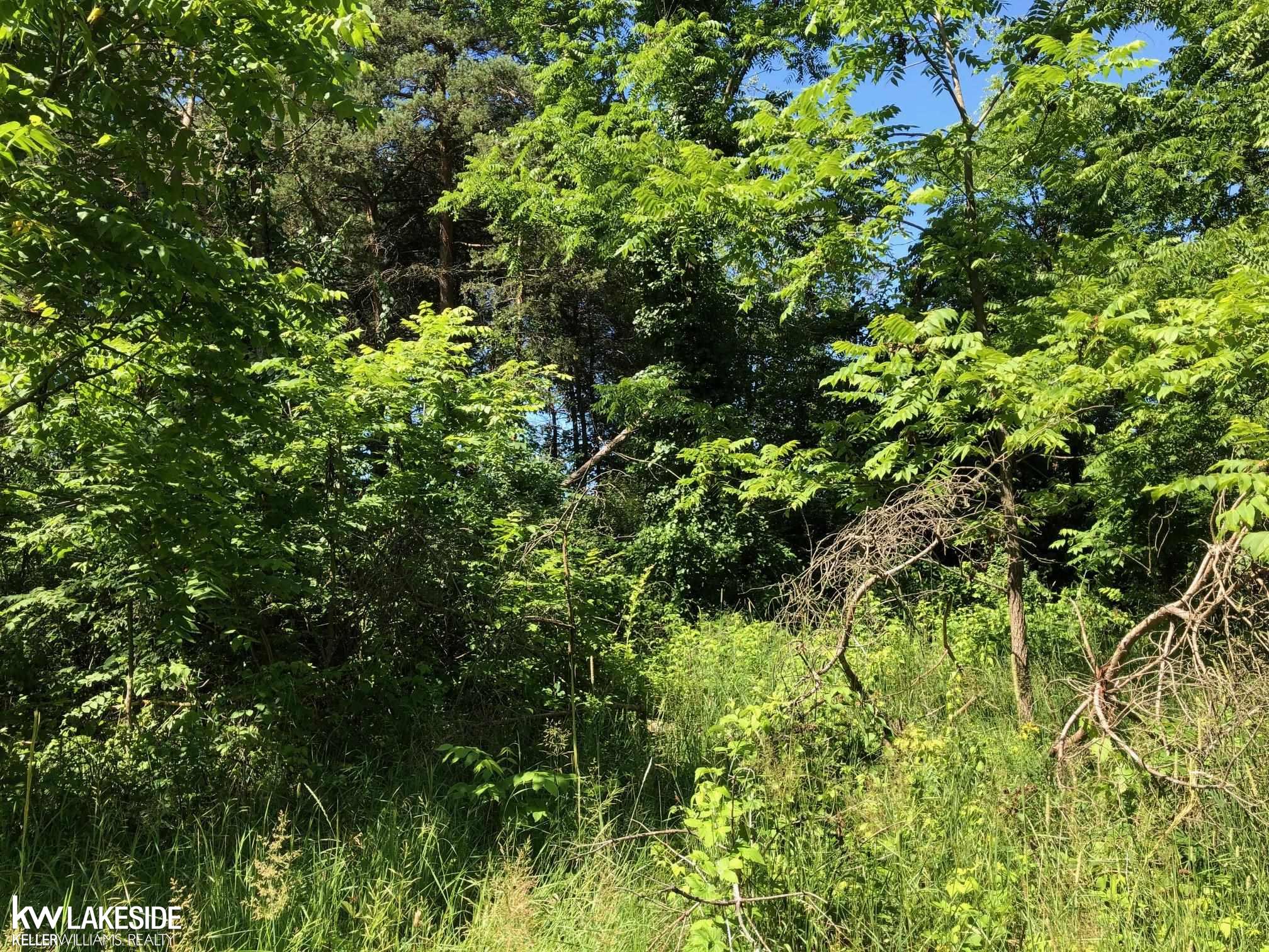 31 31 Mile Road Washington, MI 48095 - Photo 5 of 11