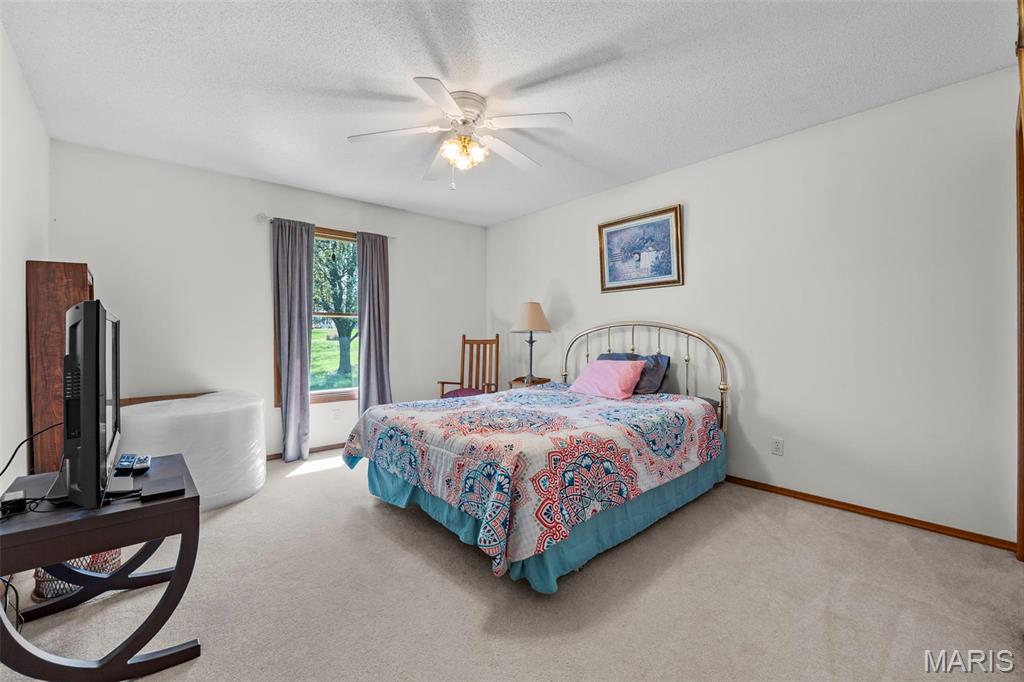 5 Prairie Lane Chester, IL 62233 - Photo 46 of 47 Gallery Image 46