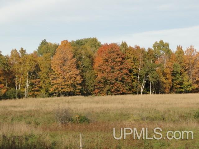 14966 2 Mile Road Bruce Crossing, MI 49912 - Photo 1 of 24