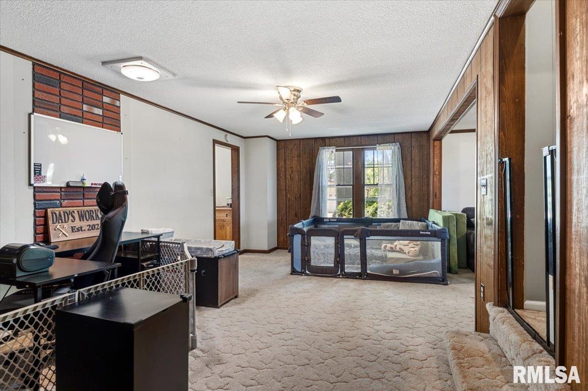 2201 Strawn Crossing Road Jacksonville, IL 62650 - Photo 13 of 64