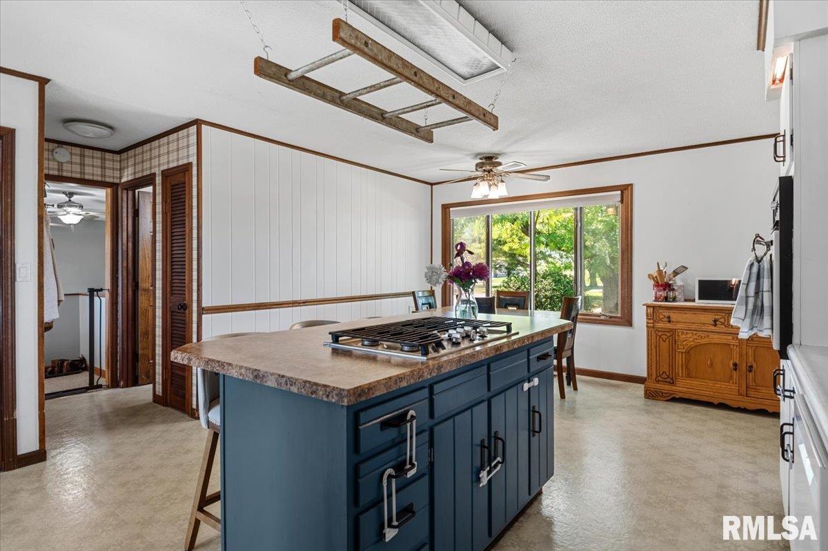 2201 Strawn Crossing Road Jacksonville, IL 62650 - Photo 18 of 64