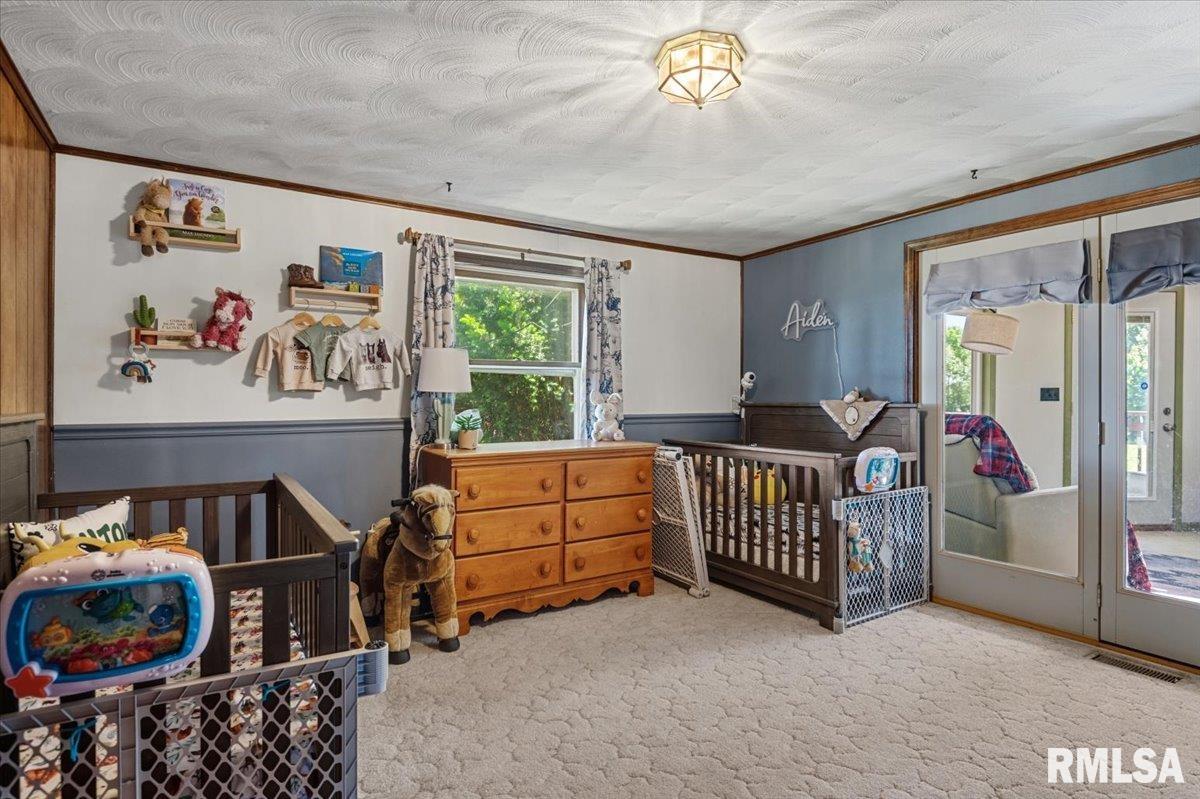 2201 Strawn Crossing Road Jacksonville, IL 62650 - Photo 29 of 64