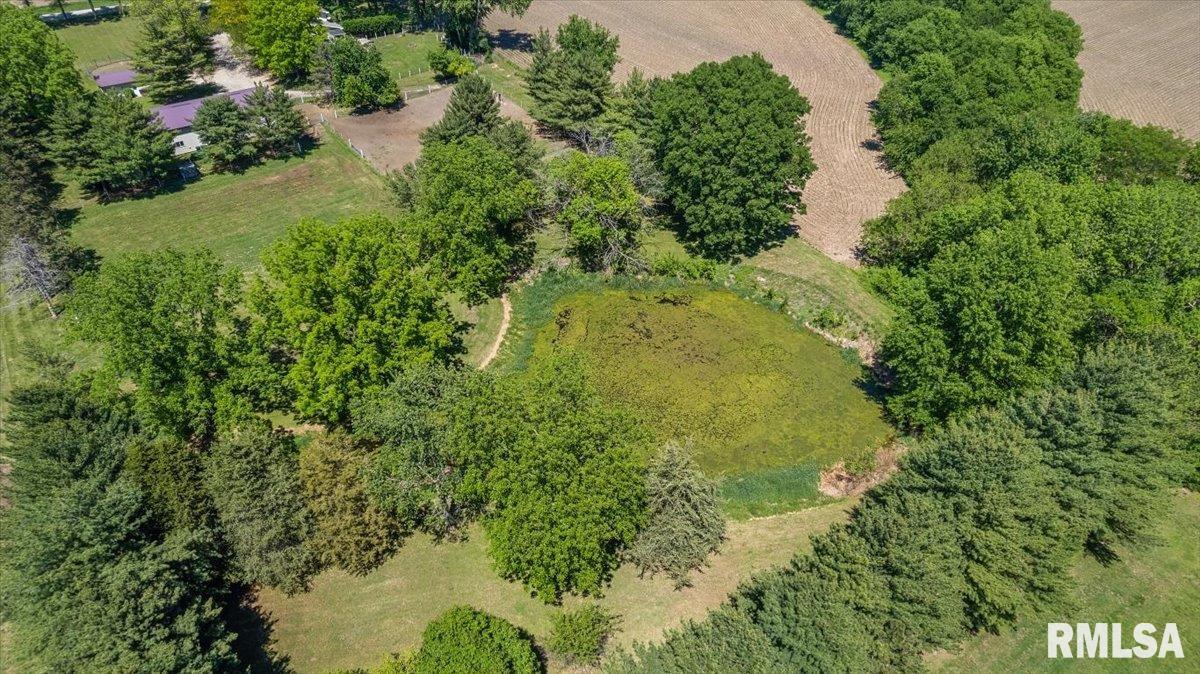 2201 Strawn Crossing Road Jacksonville, IL 62650 - Photo 55 of 64