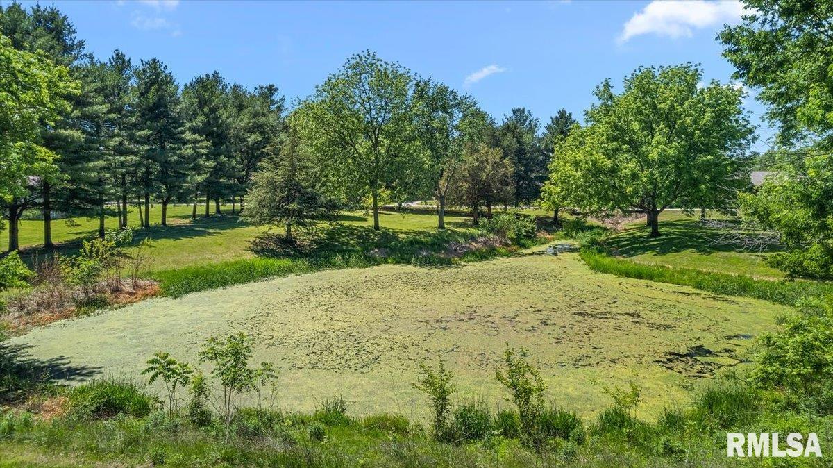 2201 Strawn Crossing Road Jacksonville, IL 62650 - Photo 56 of 64