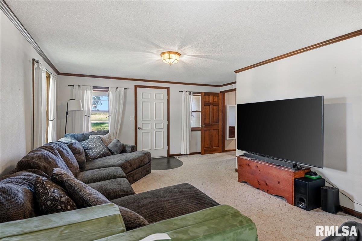 2201 Strawn Crossing Road Jacksonville, IL 62650 - Photo 9 of 64