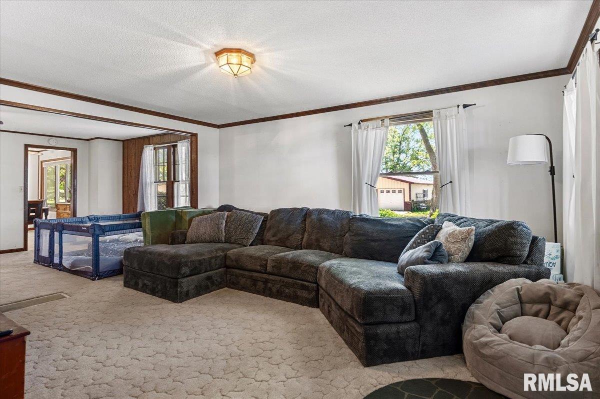 2201 Strawn Crossing Road Jacksonville, IL 62650 - Photo 10 of 64