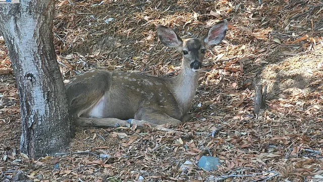 $1,198,000 | 35 San Joaquin Place, Novato, CA 94947