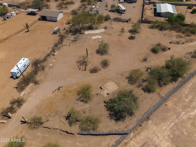 a view of lake with palm trees