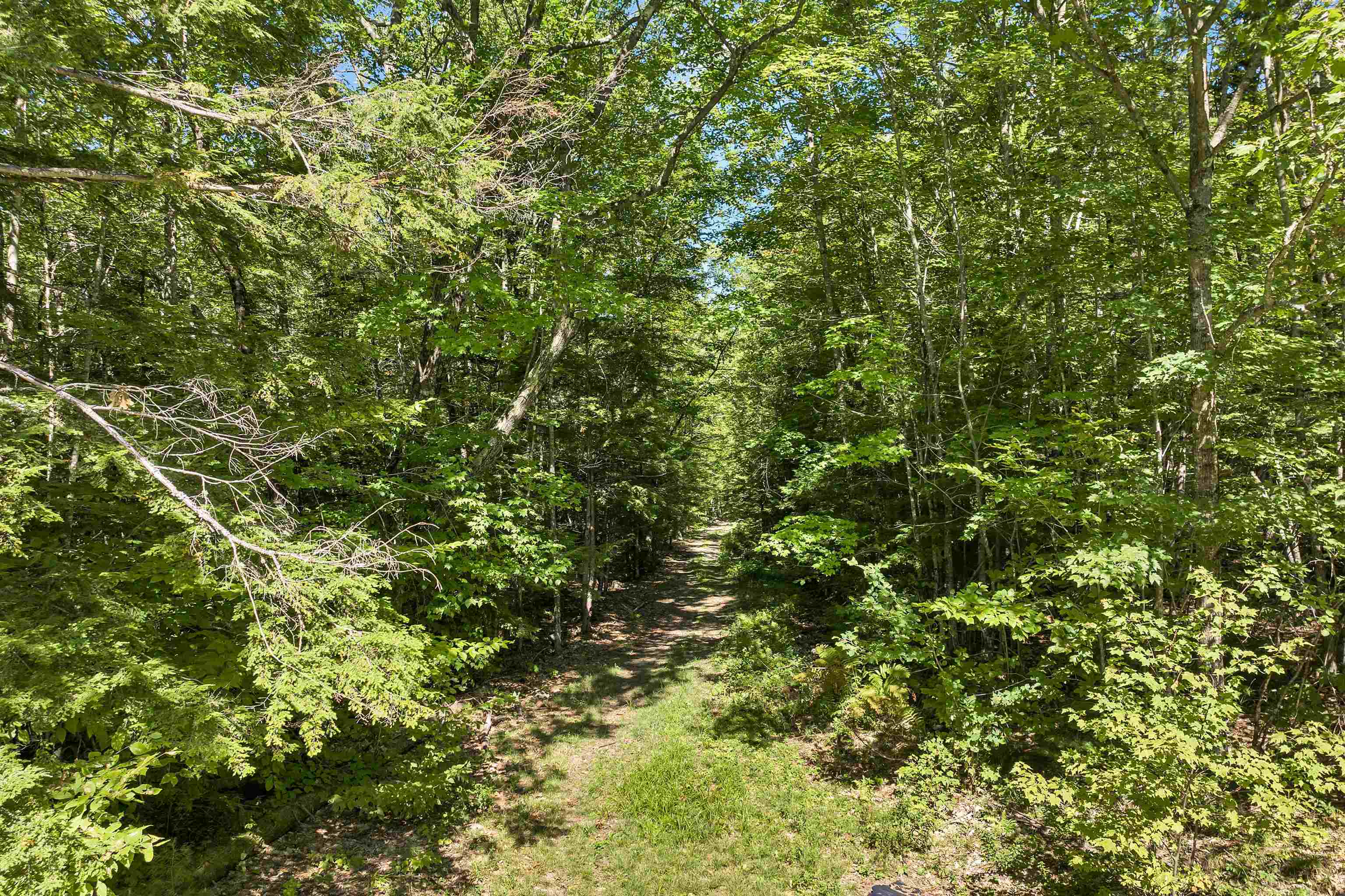0 Crown Hill Road Center Conway, NH 03813 - Photo 16 of 18