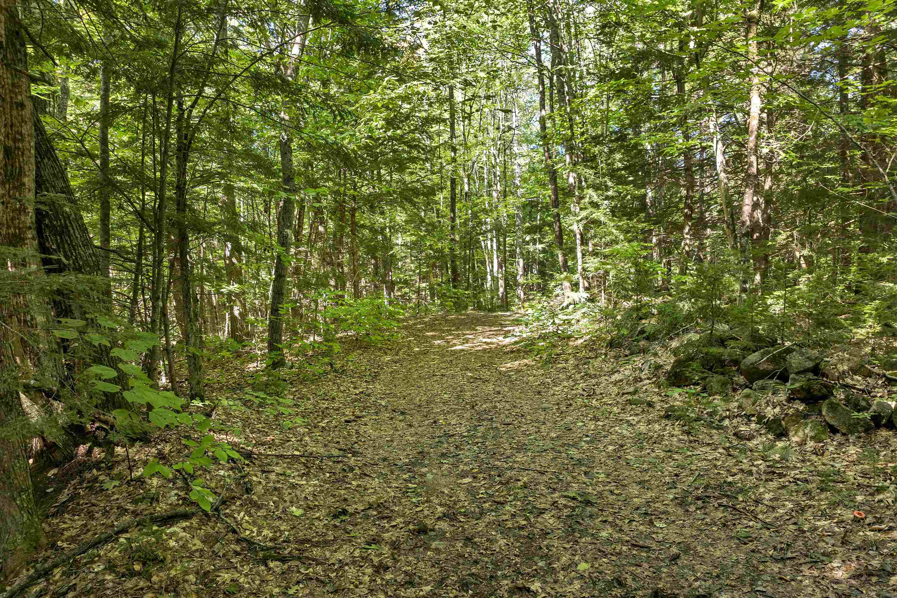 0 Crown Hill Road Center Conway, NH 03813 - Photo 4 of 18