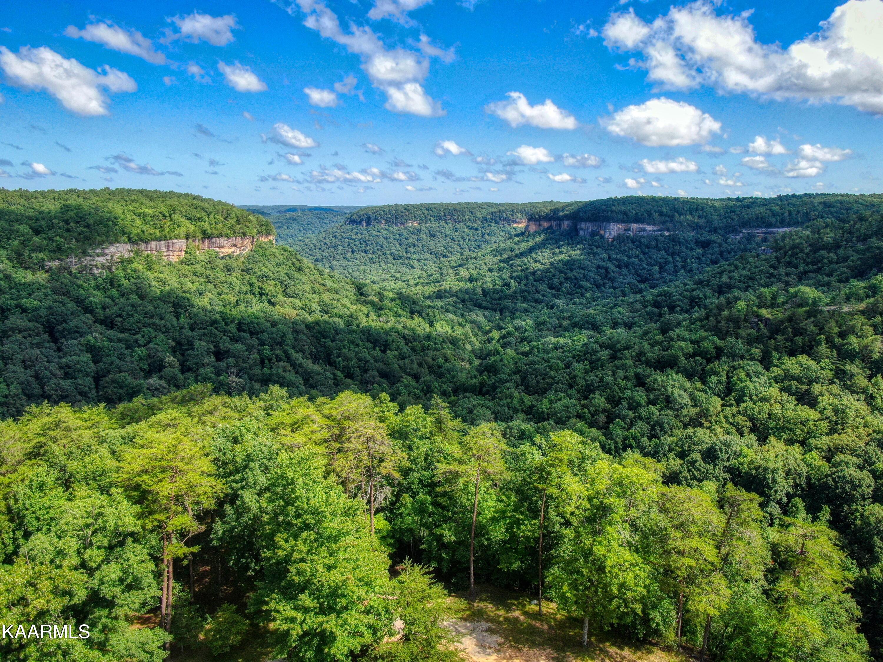 Lot 84 Cliffmont Road Jamestown, TN 38556 - Photo 2 of 11 h25