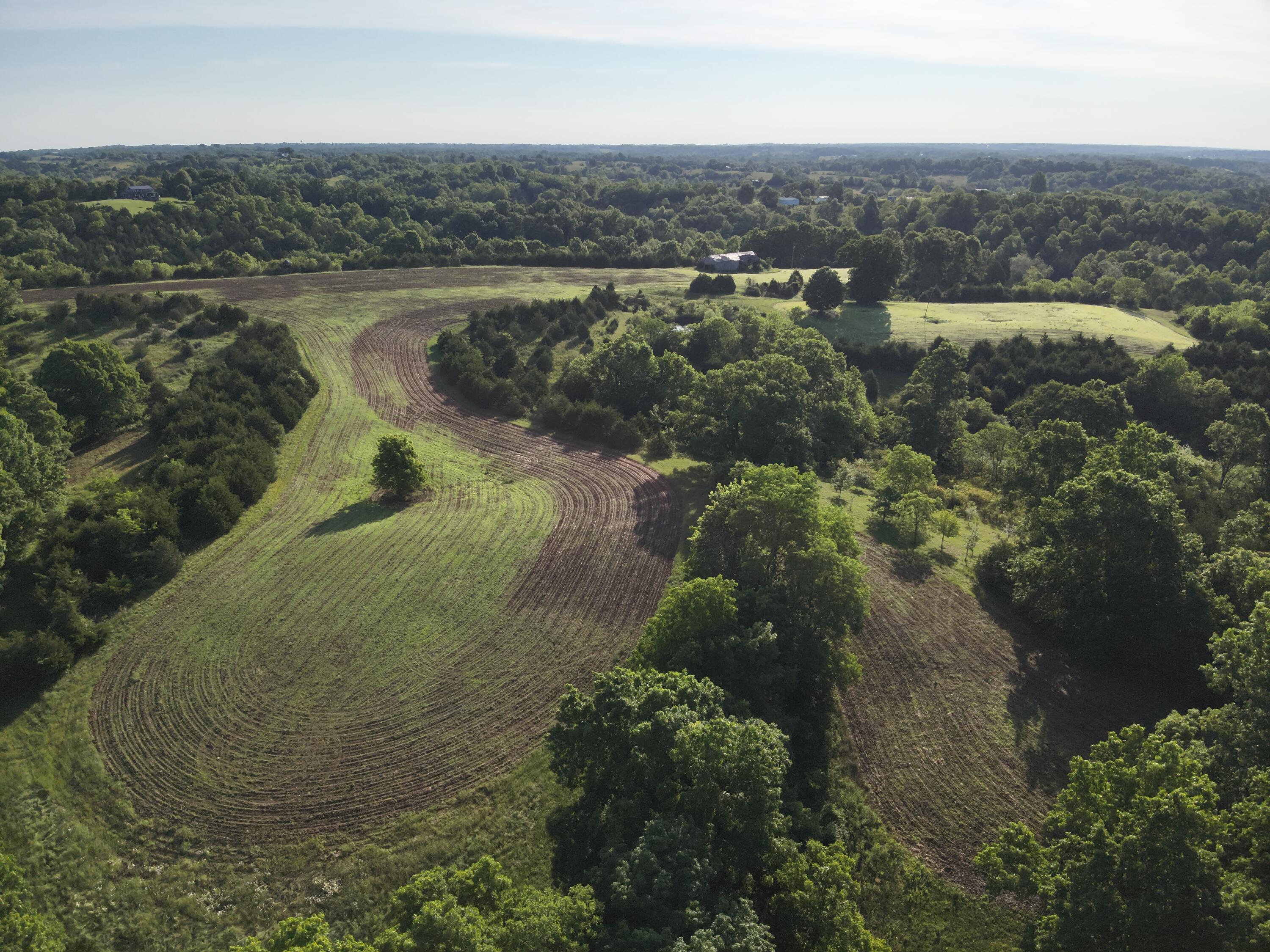 0 Mann Road Mount Olivet, KY 41064 - Photo 15 of 46