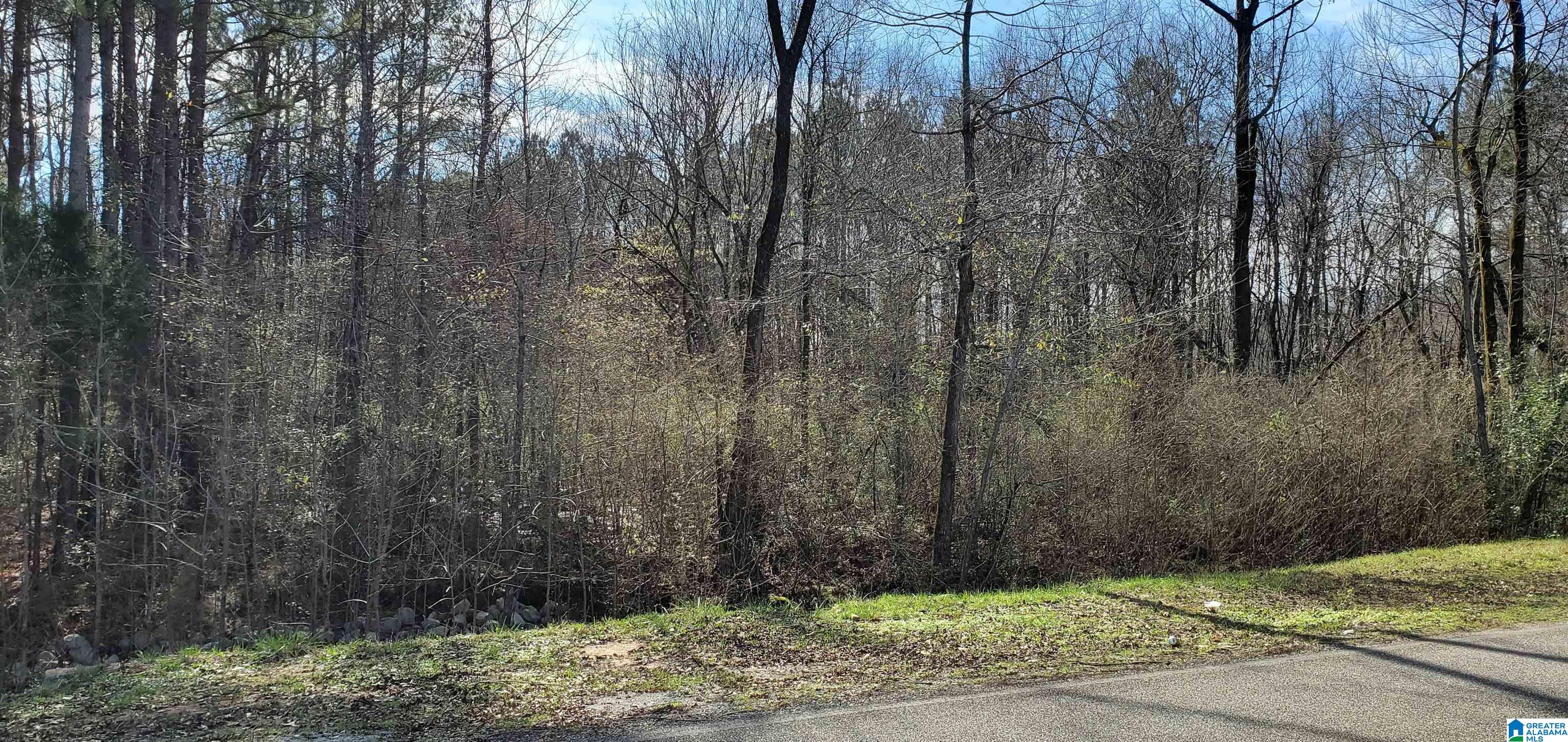 0 County Road 20 Calera, AL 35040 - Photo 1 of 3