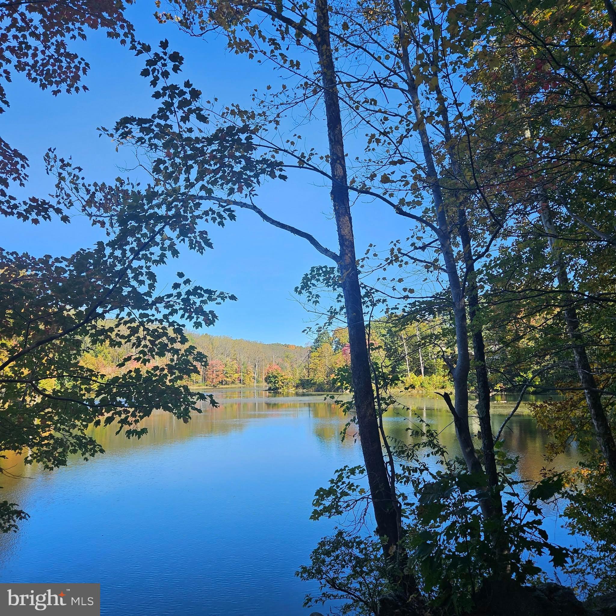 13 Pickering Court, Unit 1302 Germantown, MD 20874 - Photo 2 of 50 Gorgeous scenery surrounding the lakes.