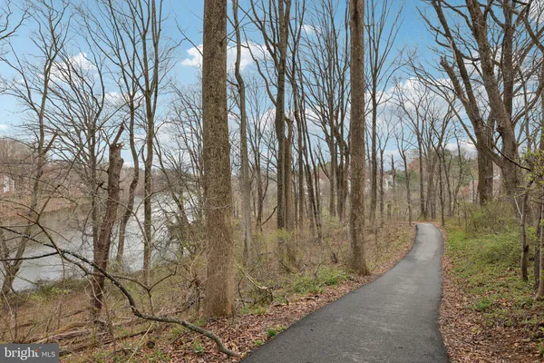 a view of a lake with a city
