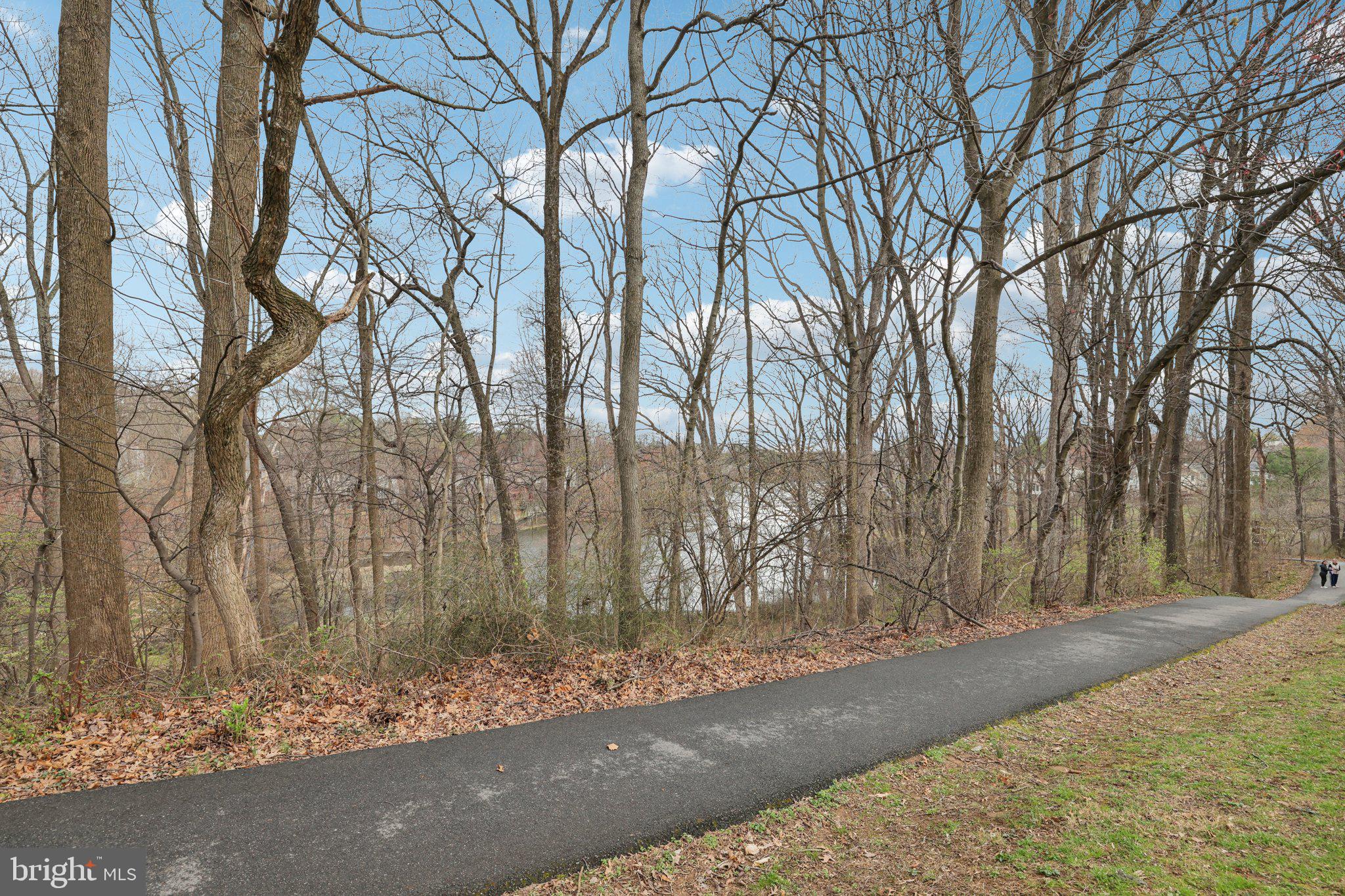13 Pickering Court, Unit 1302 Germantown, MD 20874 - Photo 42 of 50 a view of a yard with trees