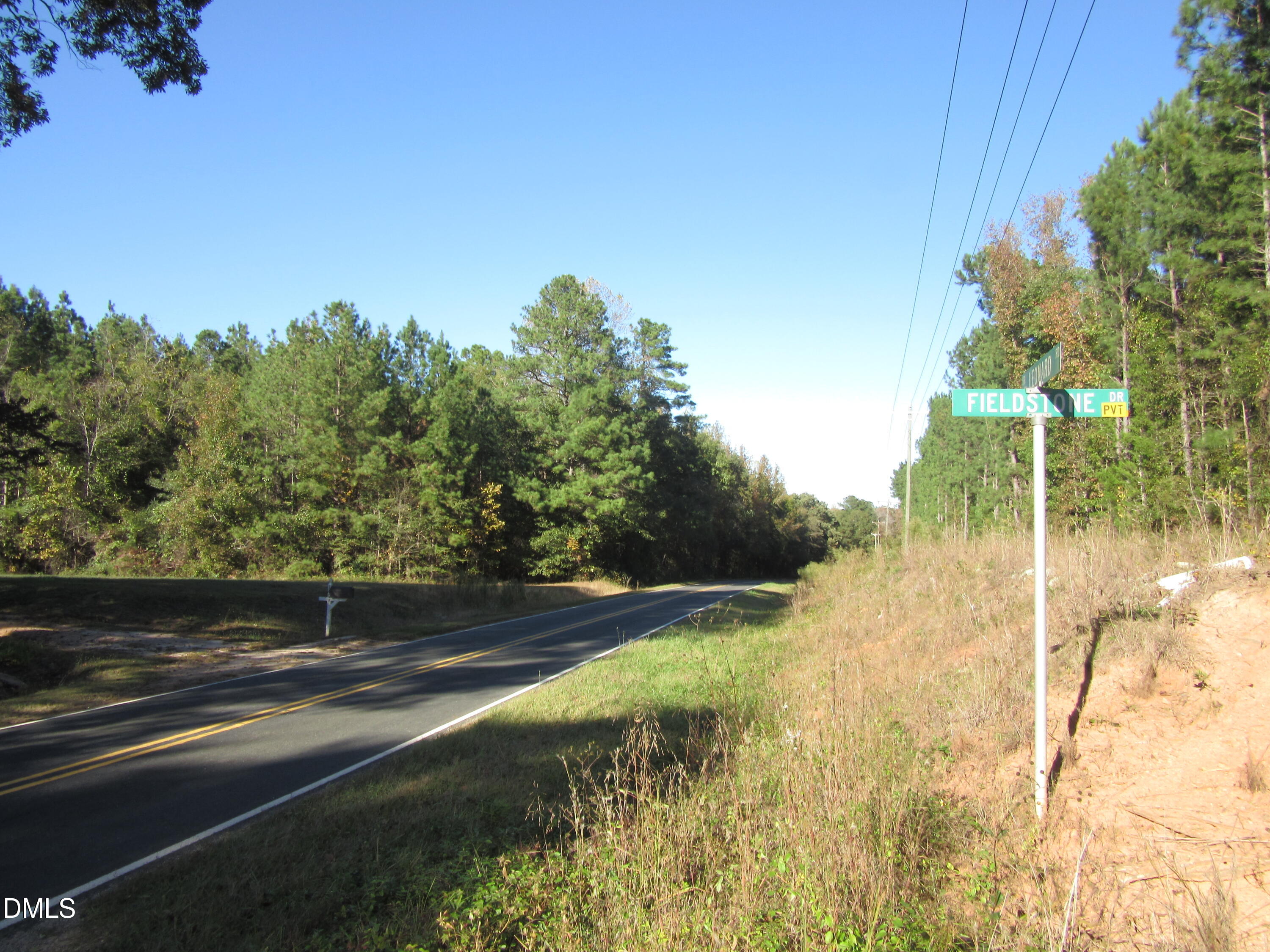 4.29-acres Leonard Road Louisburg, NC 27549 - Photo 1 of 3 a view of yard with green space