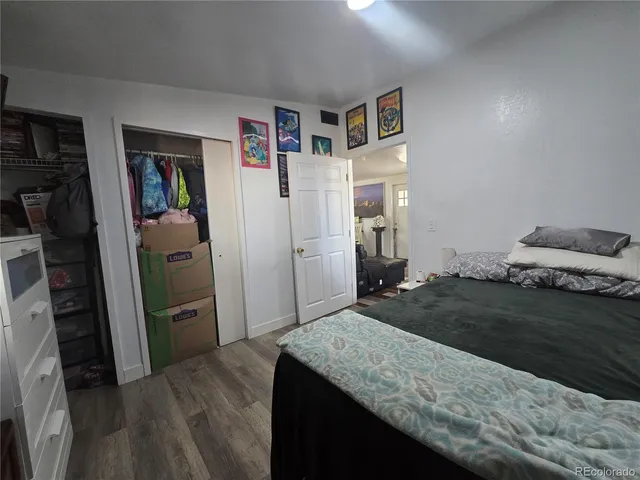 a bedroom with a bed and a walk in closet