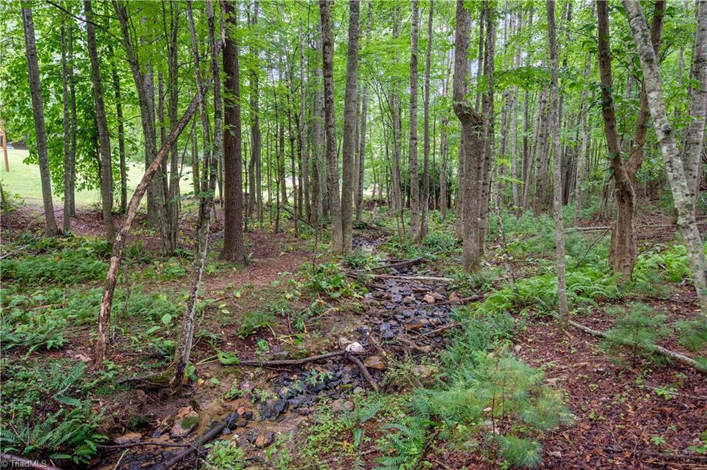 904 Dusty Rock Road Northwest Riner, VA 24149 - Photo 46 of 50