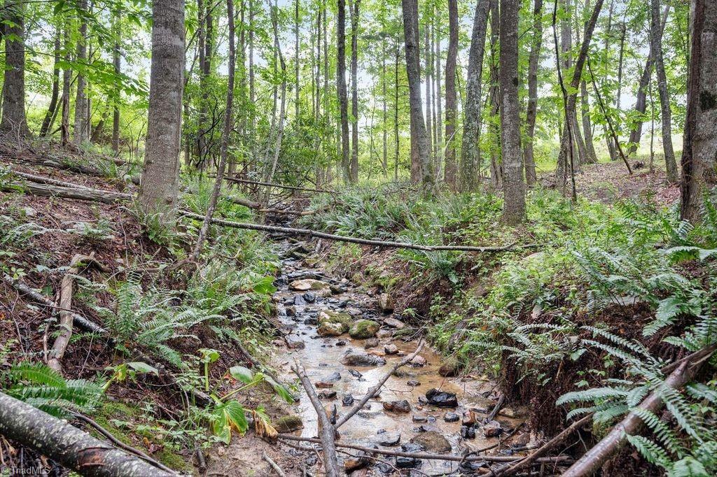 904 Dusty Rock Road Northwest Riner, VA 24149 - Photo 49 of 50