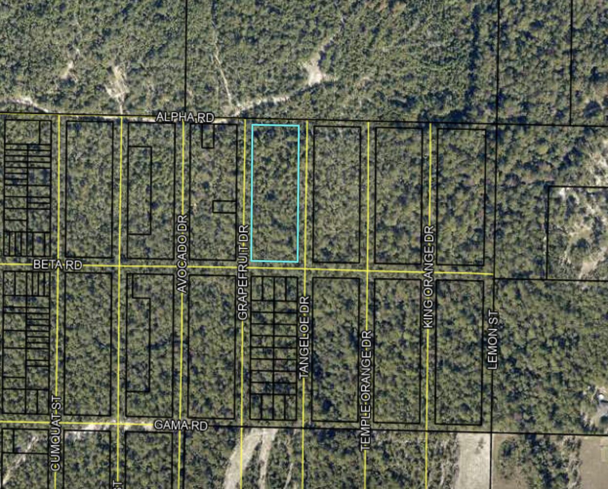 2.64 Alpha Road Crestview, FL 32539 - Photo 1 of 3 Screen Shot 2023-08-01 at 4.22.44 PM