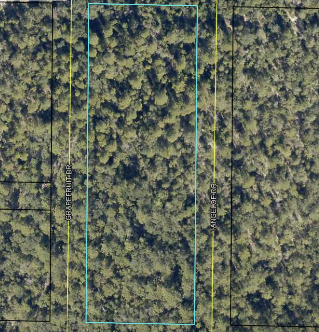 2.64 Alpha Road Crestview, FL 32539 - Photo 2 of 3 Screen Shot 2023-08-01 at 4.22.38 PM