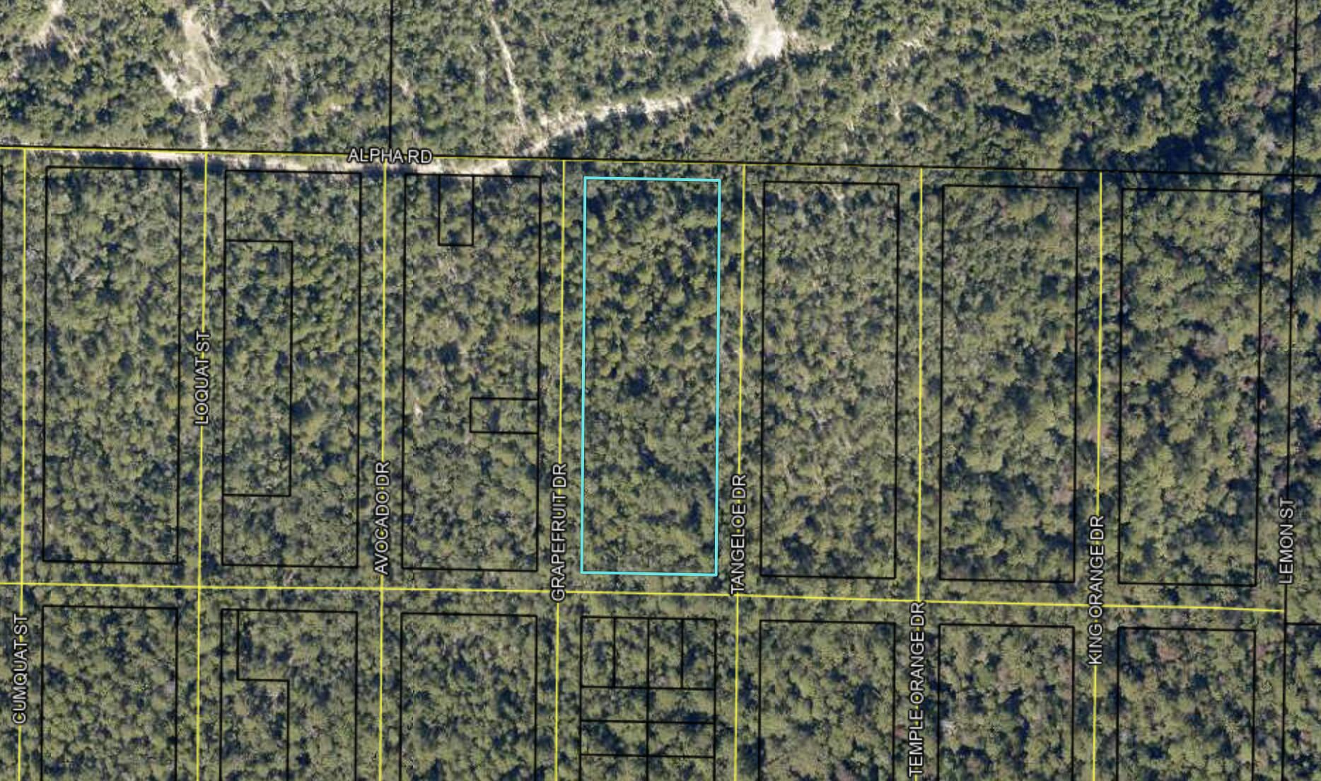 2.64 Alpha Road Crestview, FL 32539 - Photo 3 of 3 Screen Shot 2023-08-01 at 4.22.22 PM