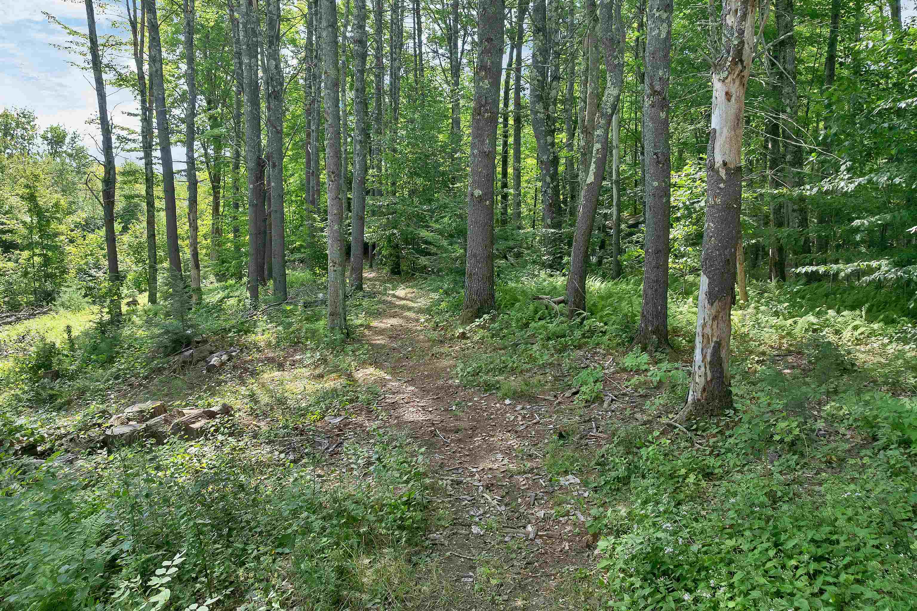 13 Winona Shores Road Meredith, NH 03253 - Photo 15 of 60 Gallery Image 15