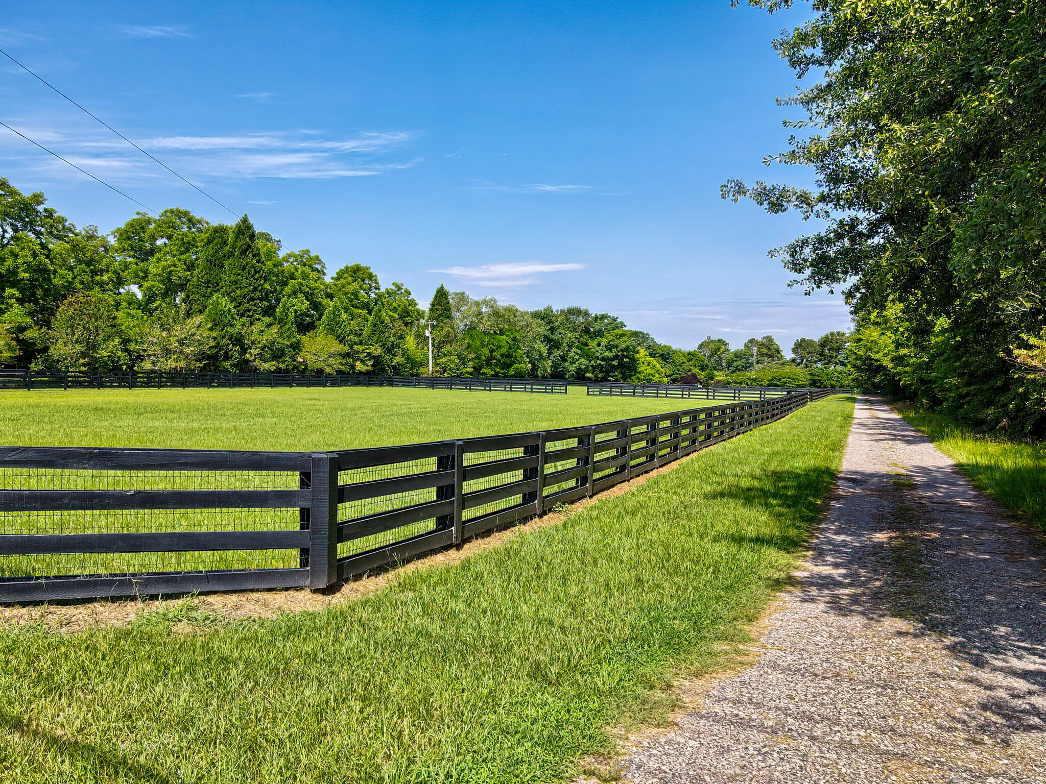 1290 Richardsons Lake Road Aiken, SC 29803 - Photo 67 of 101