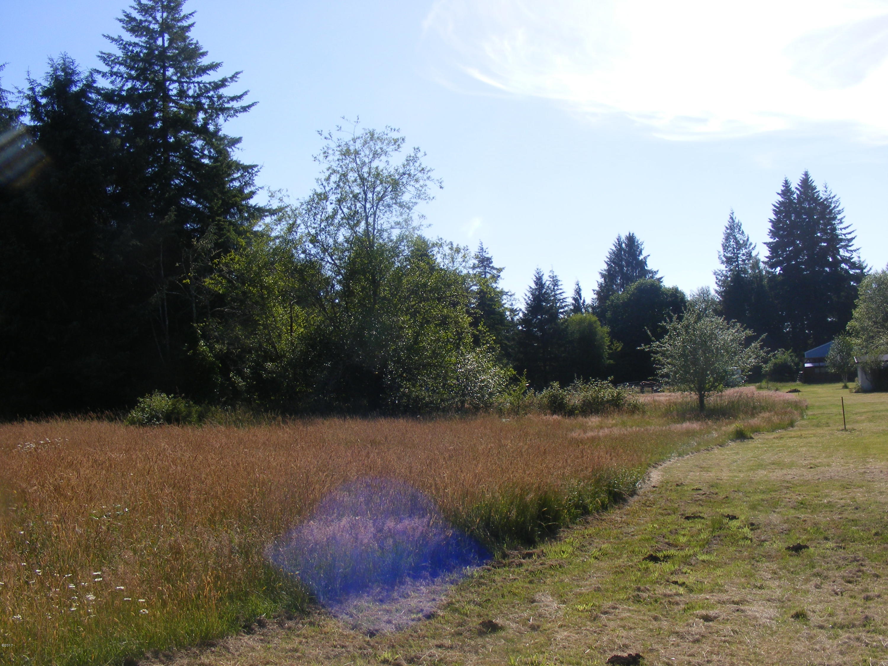 600 Judd Road Siletz, OR 97380 - Photo 1 of 1 Lot view 1