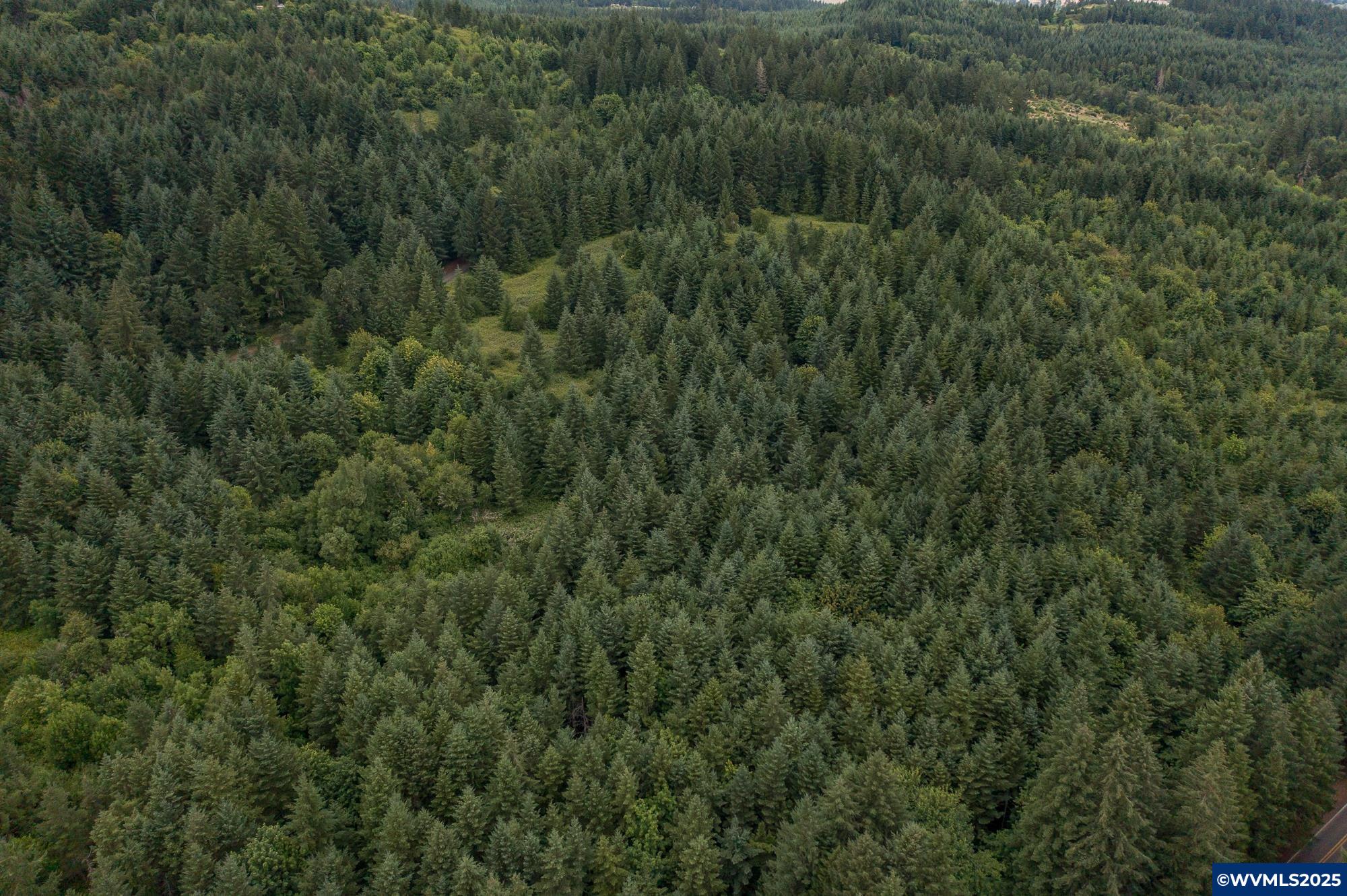 Mctimmonds Road Dallas, OR 97338 - Photo 7 of 20