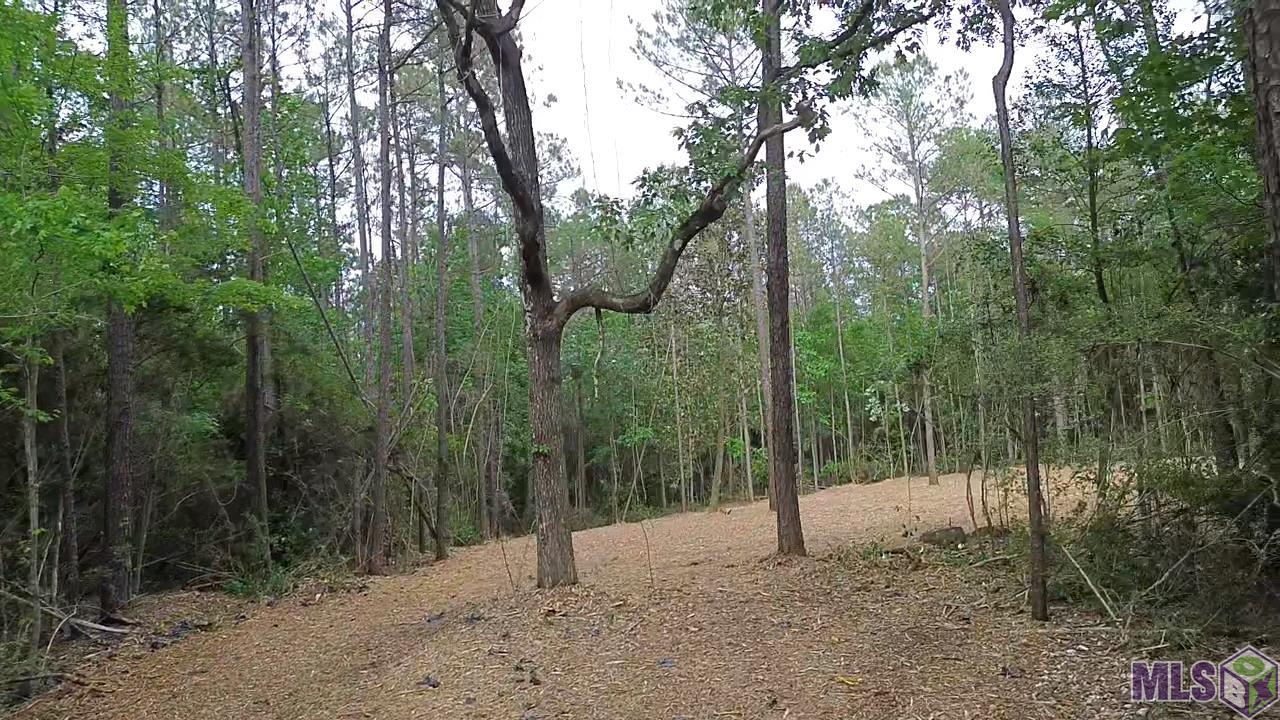 83166 Isabel Swamp Road Bush, LA 70431 - Photo 2 of 20