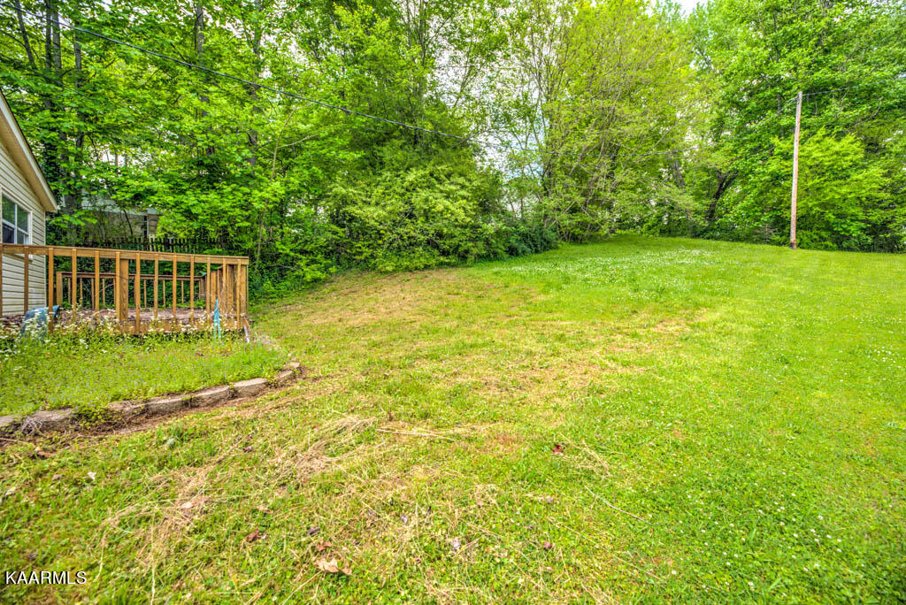 603 Kelly Road Oliver Springs, TN 37840 - Photo 17 of 18 Back Yard