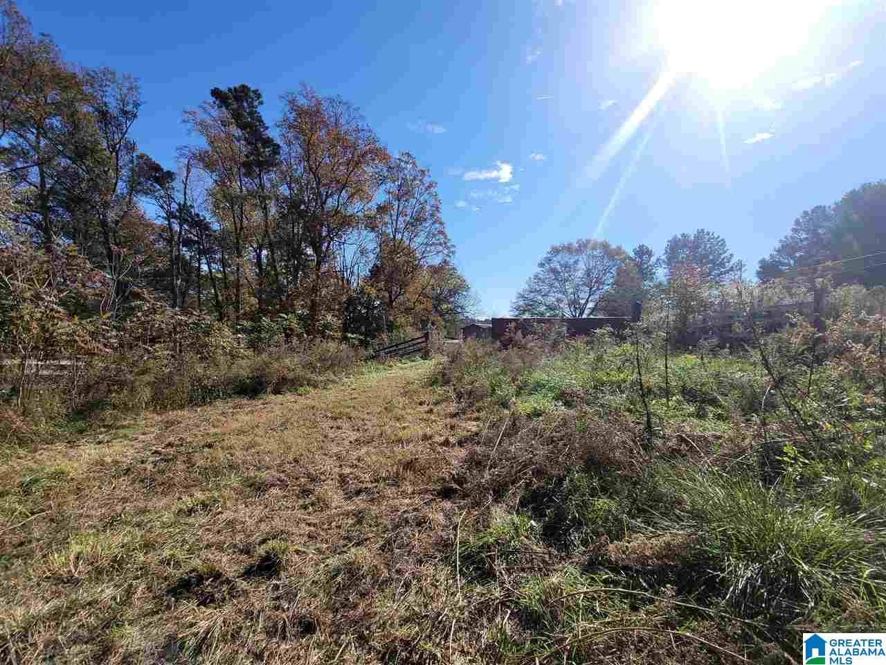 41 Gip Yates Road Blountsville, AL 35031 - Photo 5 of 5
