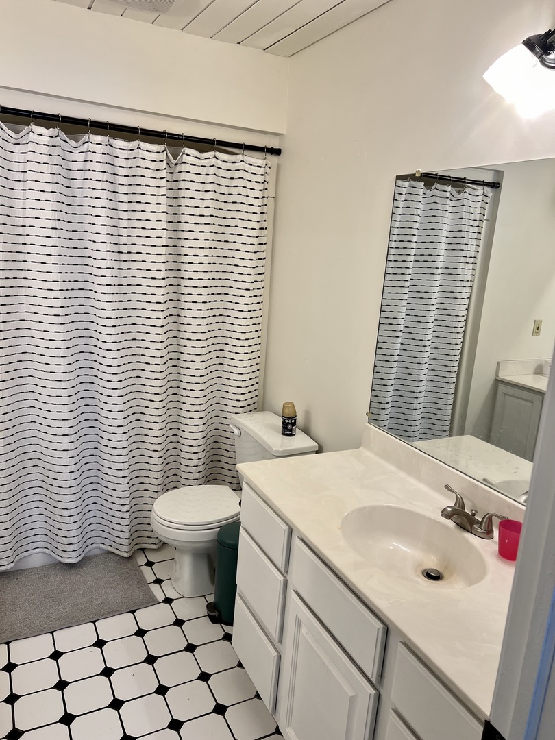 1090 Pickwick Drive Rochelle, IL 61068 - Photo 24 of 30 a bathroom with a sink toilet and window