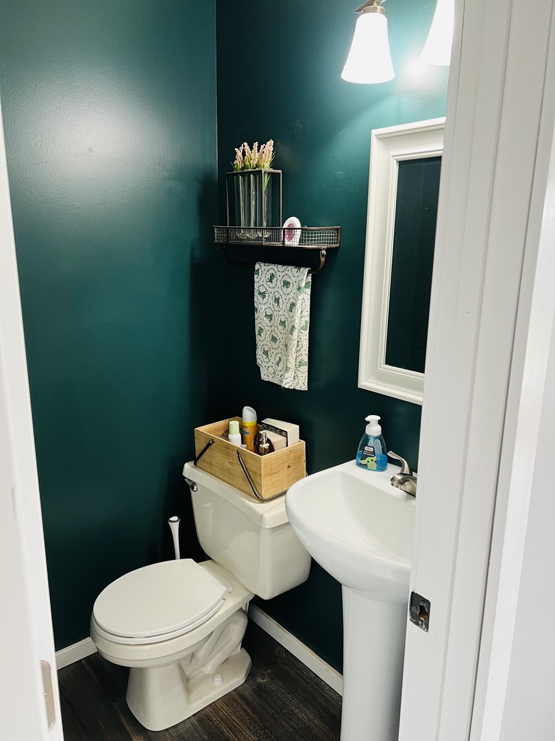 1090 Pickwick Drive Rochelle, IL 61068 - Photo 7 of 30 a bathroom with a toilet sink and mirror