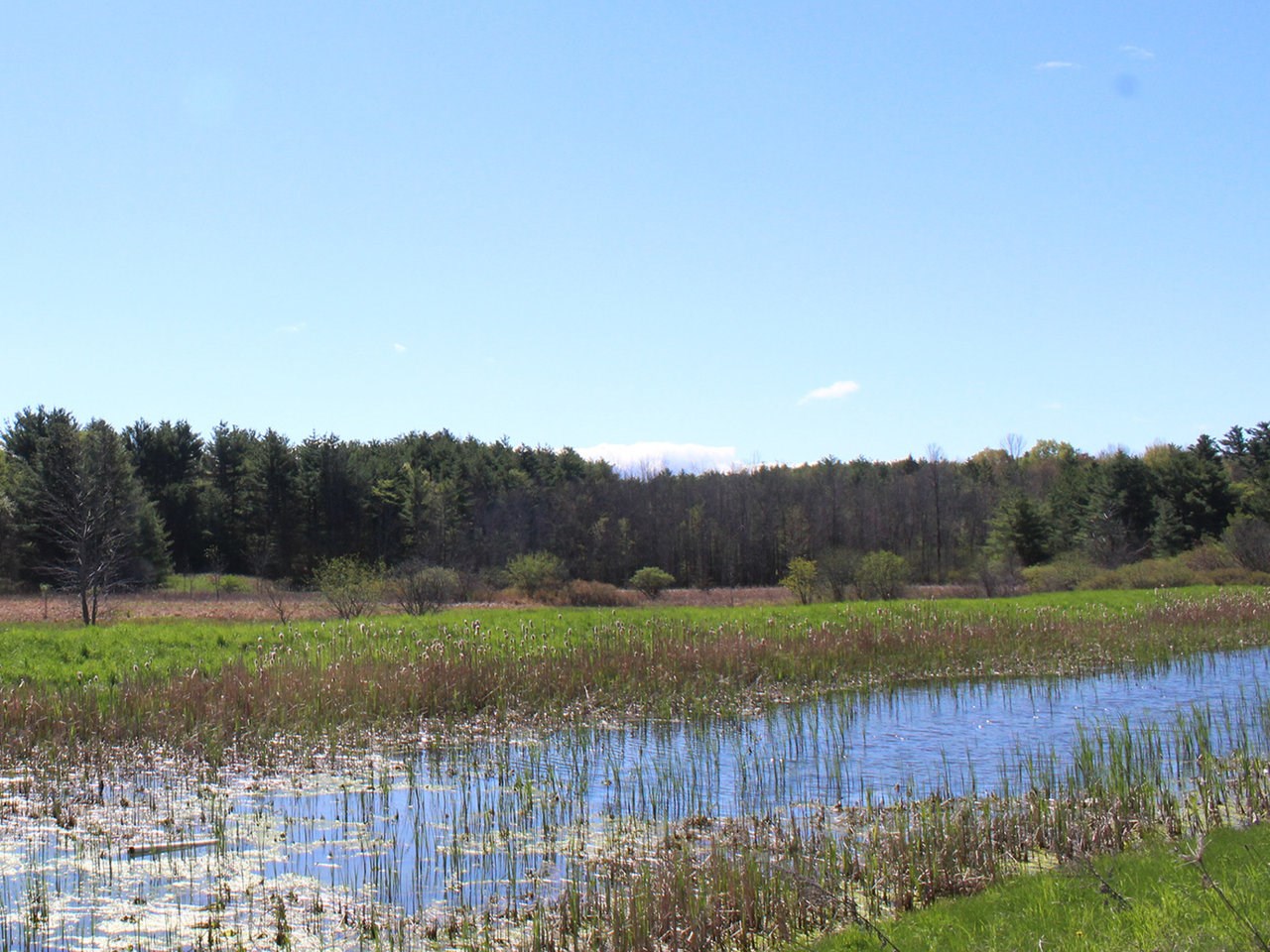 238 Preserve Road, Unit 26 South Burlington, VT 05403 - Photo 22 of 22 Gallery Image 22