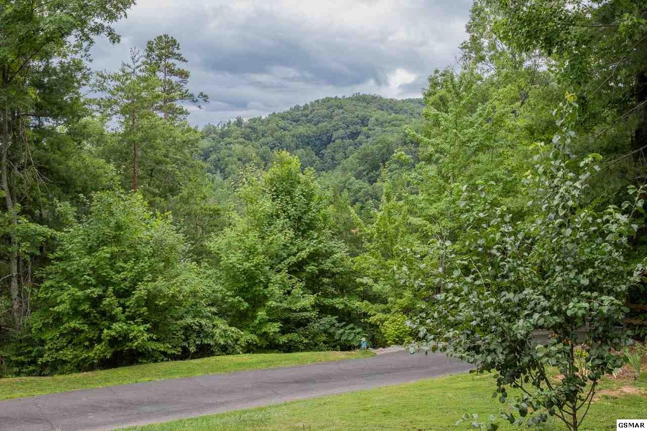 2131 Castle Rise Way Sevierville, TN 37862 - Photo 28 of 35
