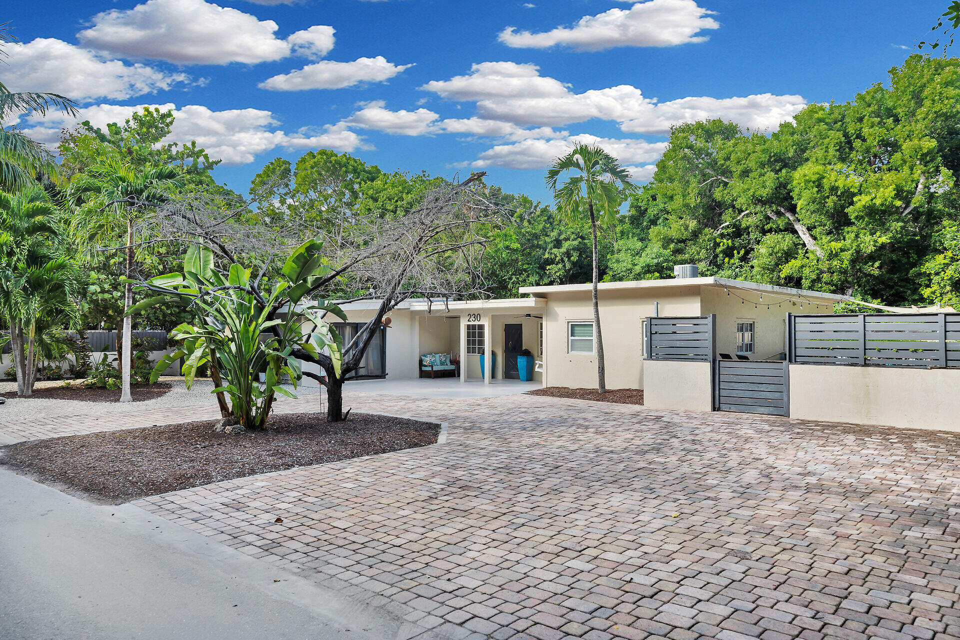 a view of a yard with potted plants