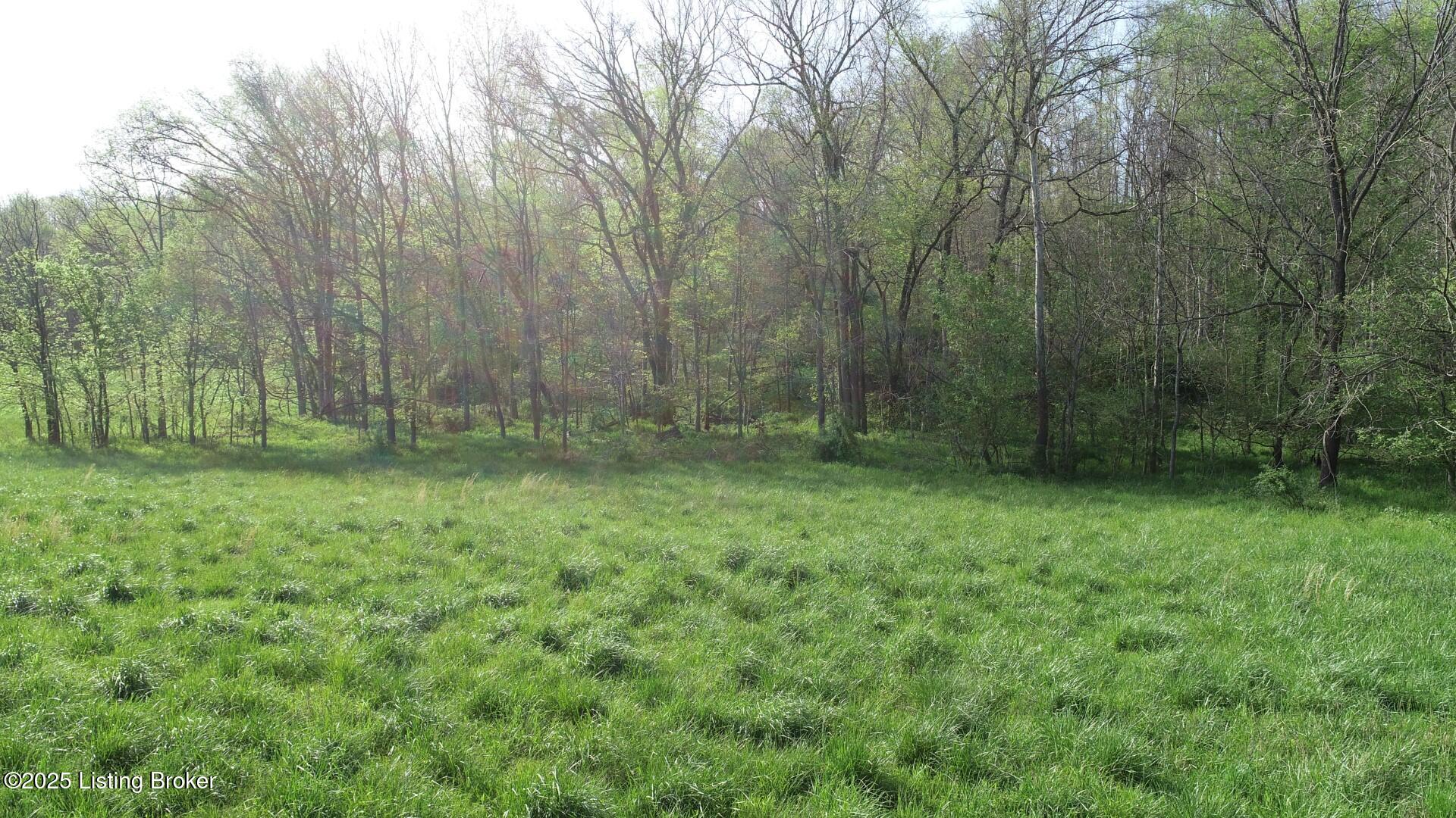 860 Round Btm Road Magnolia, KY 42757 - Photo 6 of 10 DJI_0076 (Large)