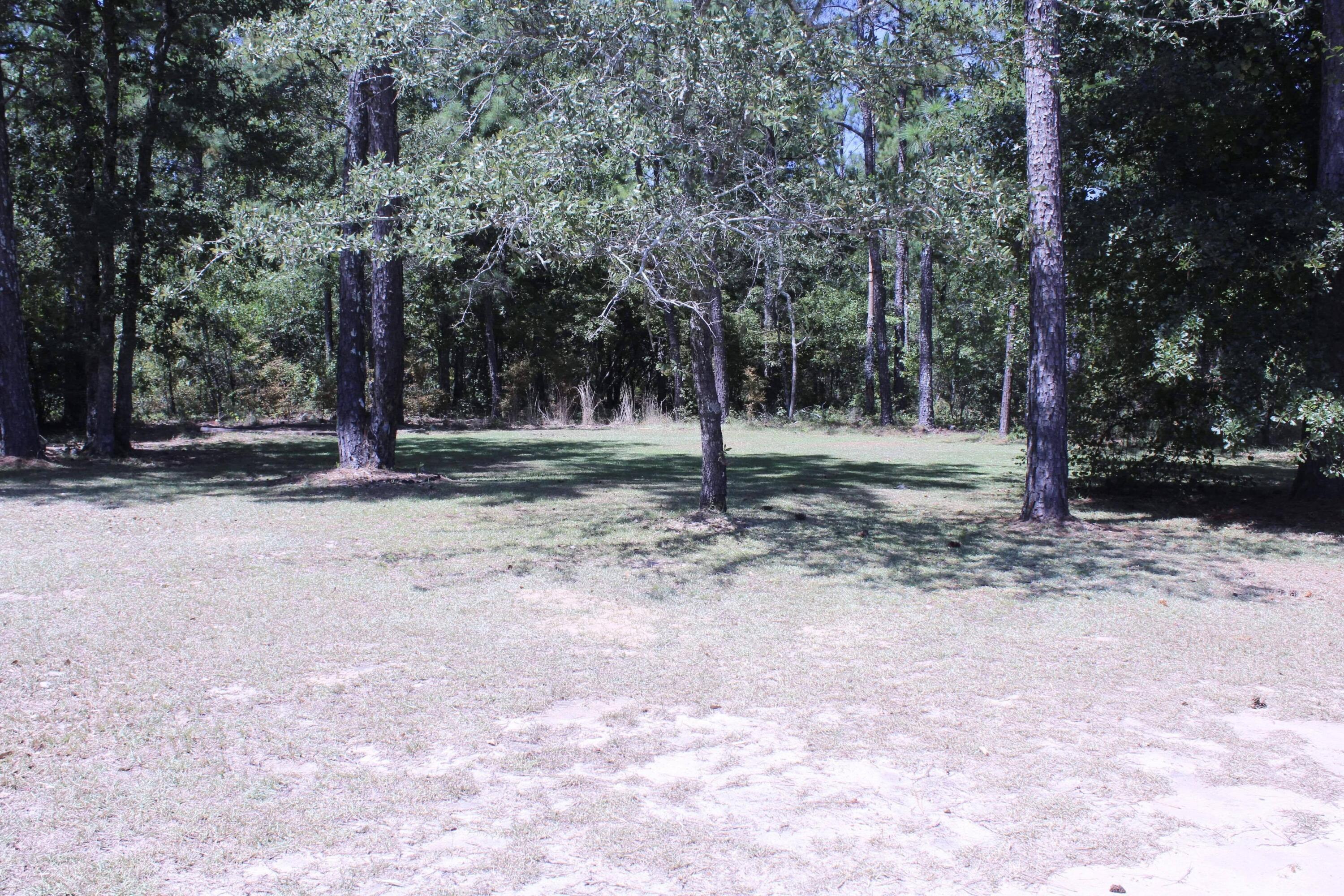 292 Sunnybrooke Road Trenton, SC 29847 - Photo 19 of 21