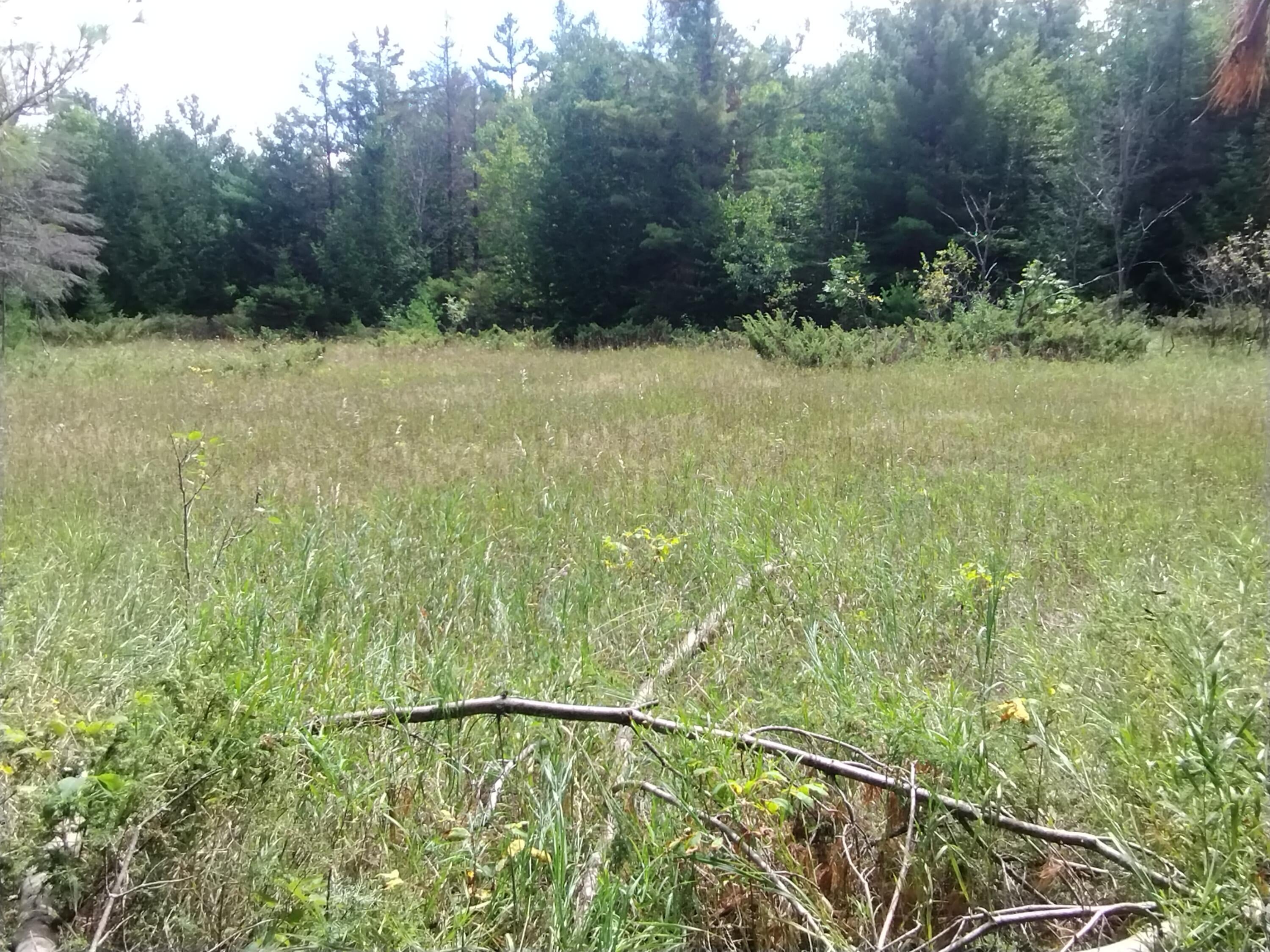5060 Long Lake Road Alpena, MI 49707 - Photo 1 of 17 Field