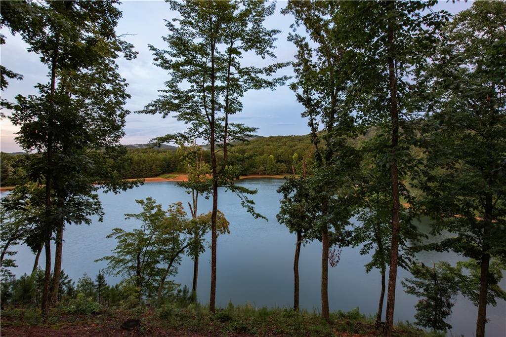 71 Geyser Court Ranger, GA 30734 - Photo 44 of 57