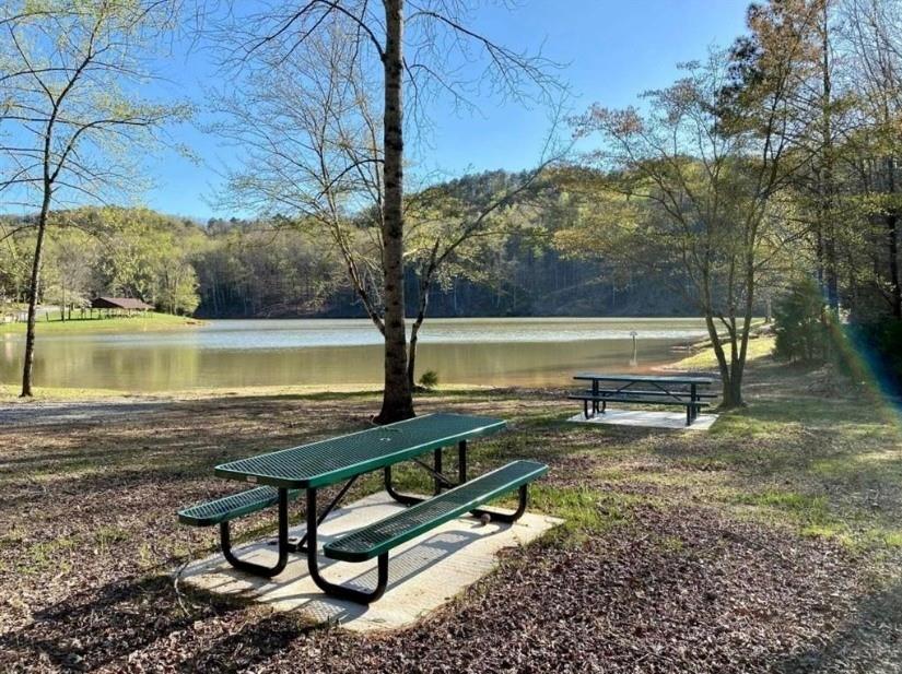 71 Geyser Court Ranger, GA 30734 - Photo 57 of 57 a view of a lake with outdoor space
