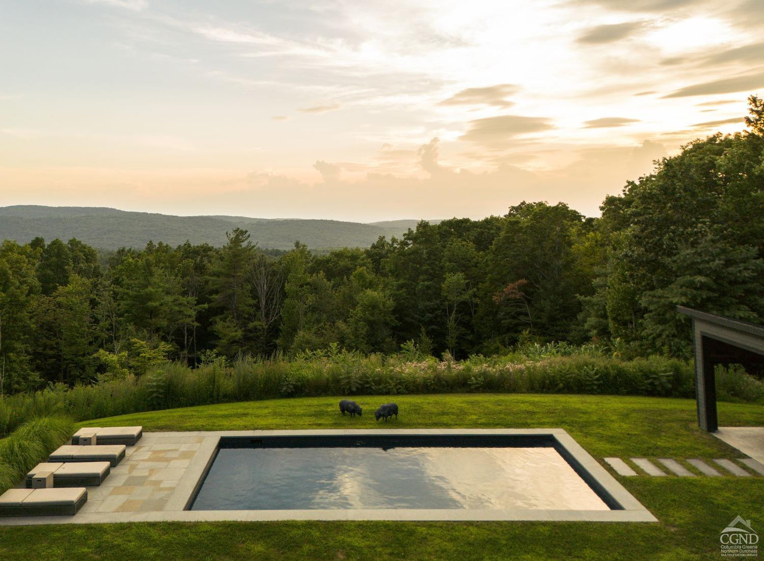 247 Reed Road Austerlitz, NY 12037 - Photo 2 of 39 Photo 2