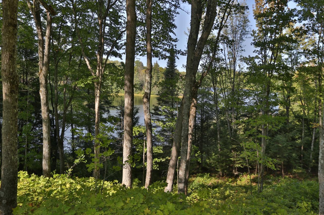8804 Pardee Lake Road Presque Isle, WI 54557 - Photo 47 of 51 Gallery Image 47