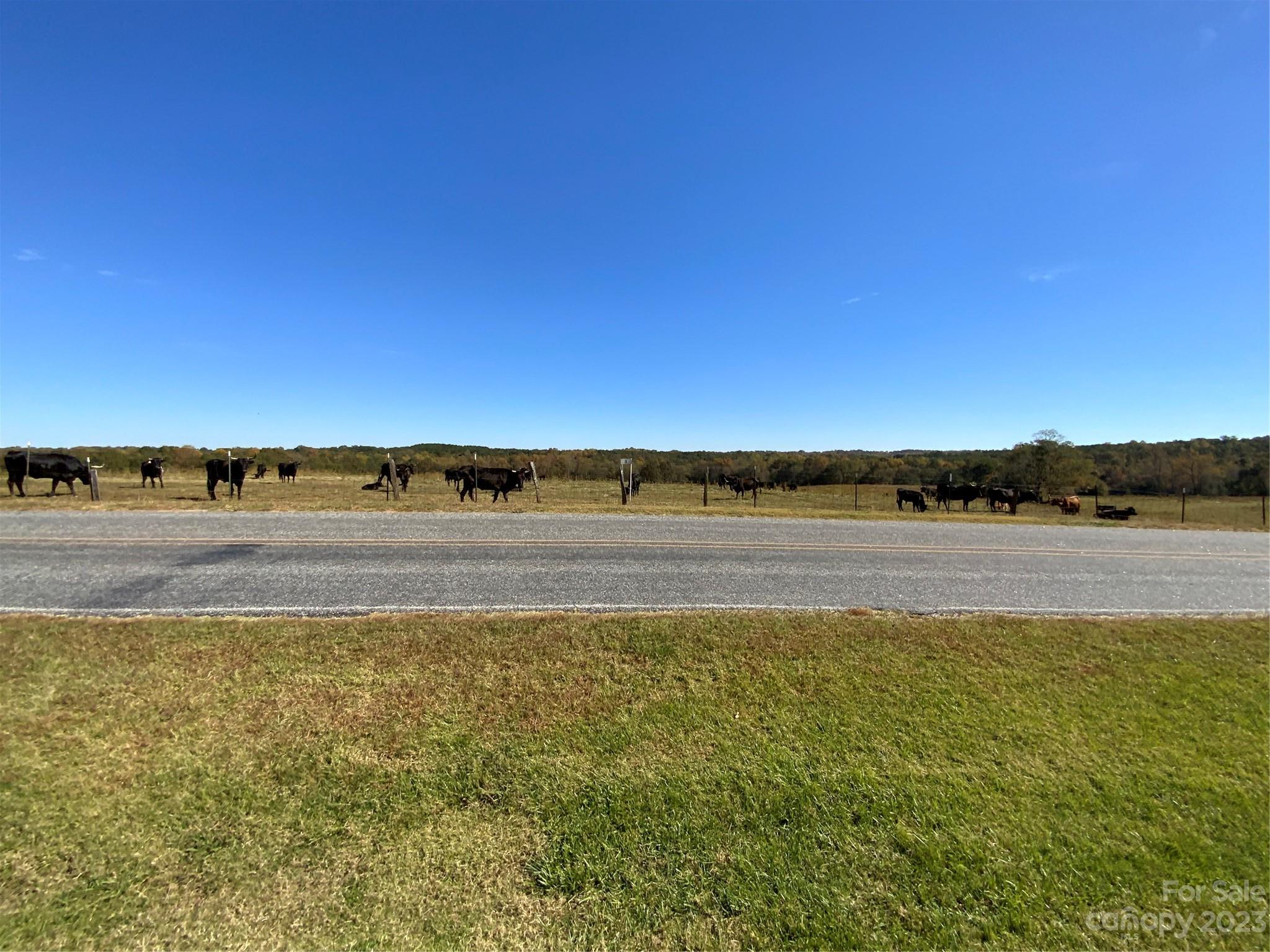 3 Morningstar Lake Road Forest City, NC 28043 - Photo 2 of 11 a view of an ocean