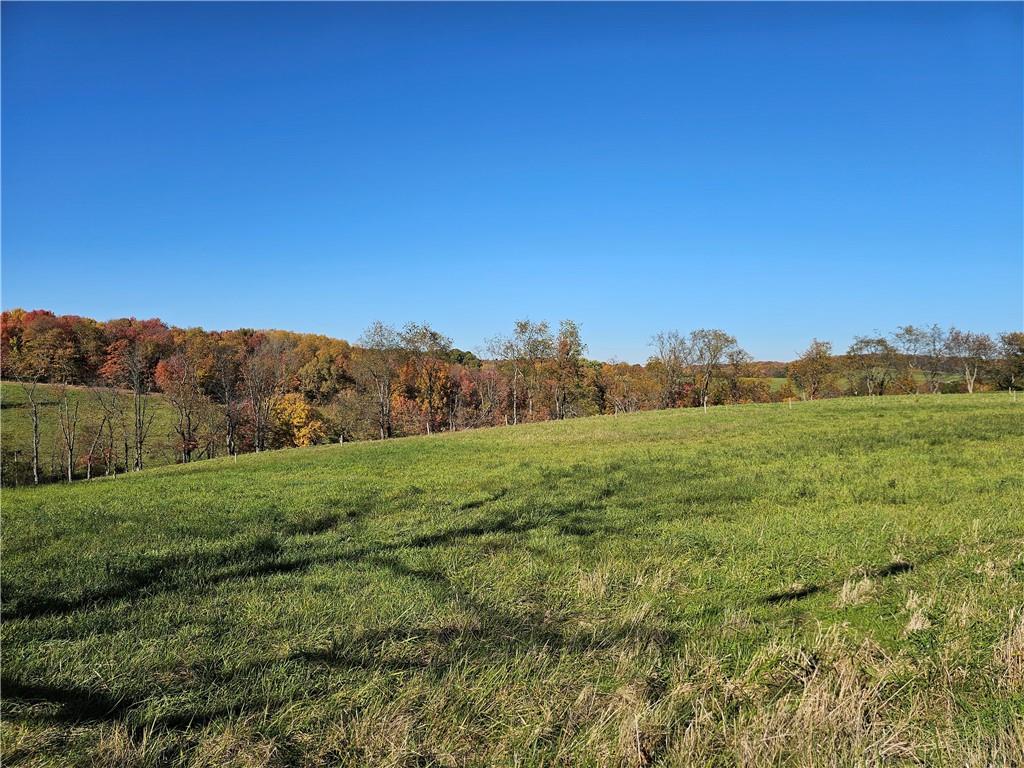 0 Wises Grove Road New Brighton, PA 15066 - Photo 2 of 4 Gallery Image 2