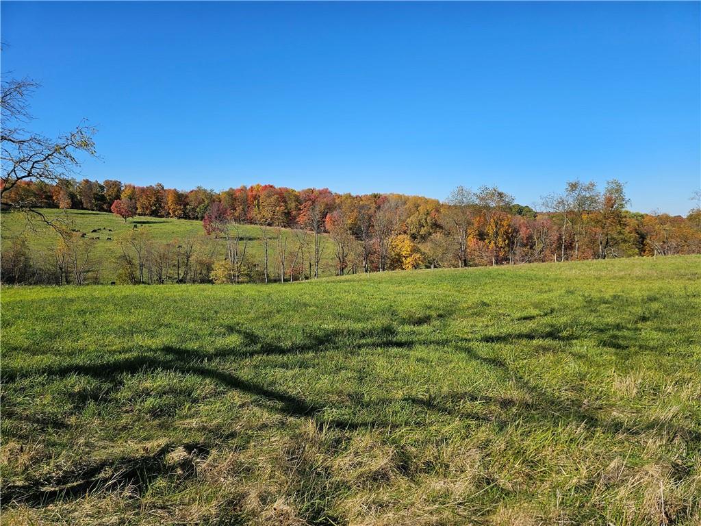 0 Wises Grove Road New Brighton, PA 15066 - Photo 4 of 4 Gallery Image 4