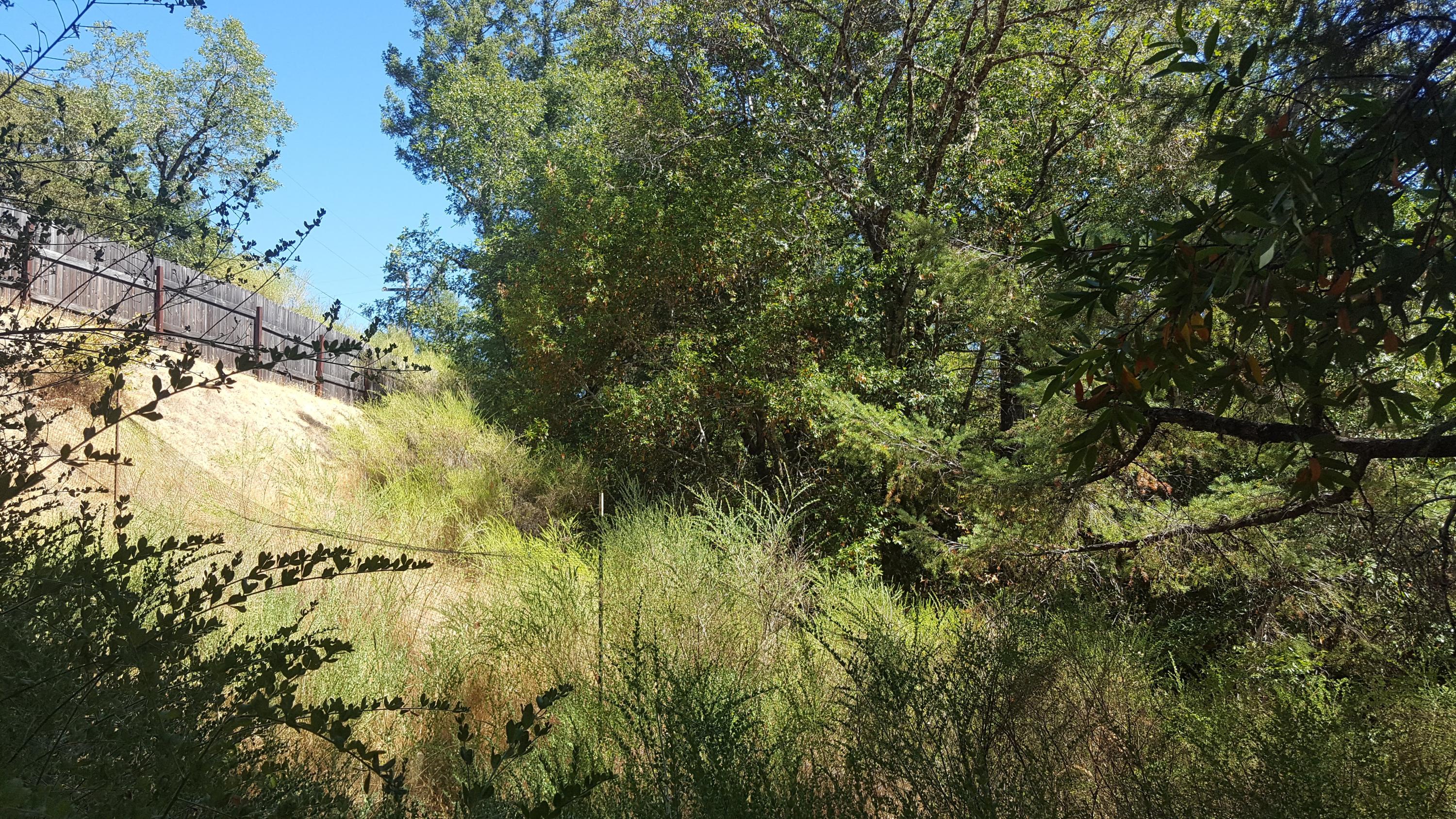297 County Road Miranda, CA 95553 - Photo 7 of 13 20190912_141014